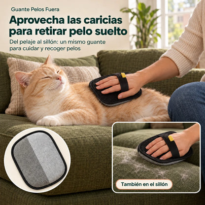 CatPaws Pelos Fuera - Guante quitapelos y de cepillado